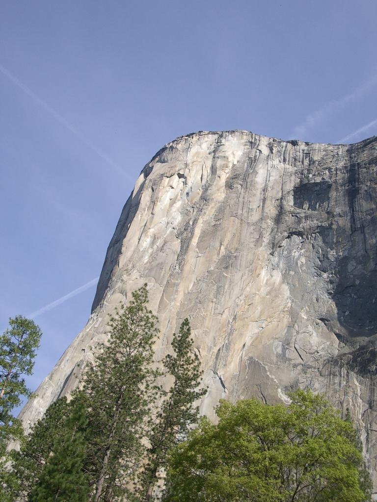 The Nose, El Capitan. Maybe next year...