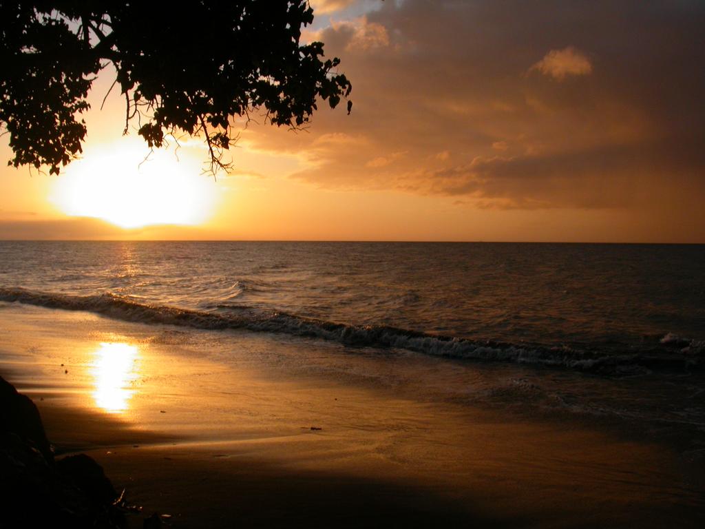 Sunset on the beach