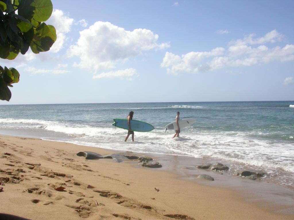 Surfing