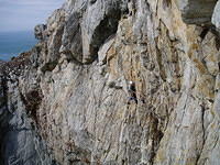 Ali on the final pitch of Dream of White Horses