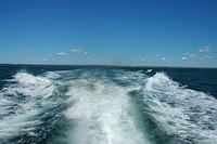 On The Boat to Nantucket. Watch out for White Whales.