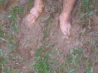 Muddy feet at the Taino ceremonial site